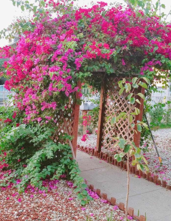 The Red Guest House In Downtown Los Angeles Ngoại thất bức ảnh